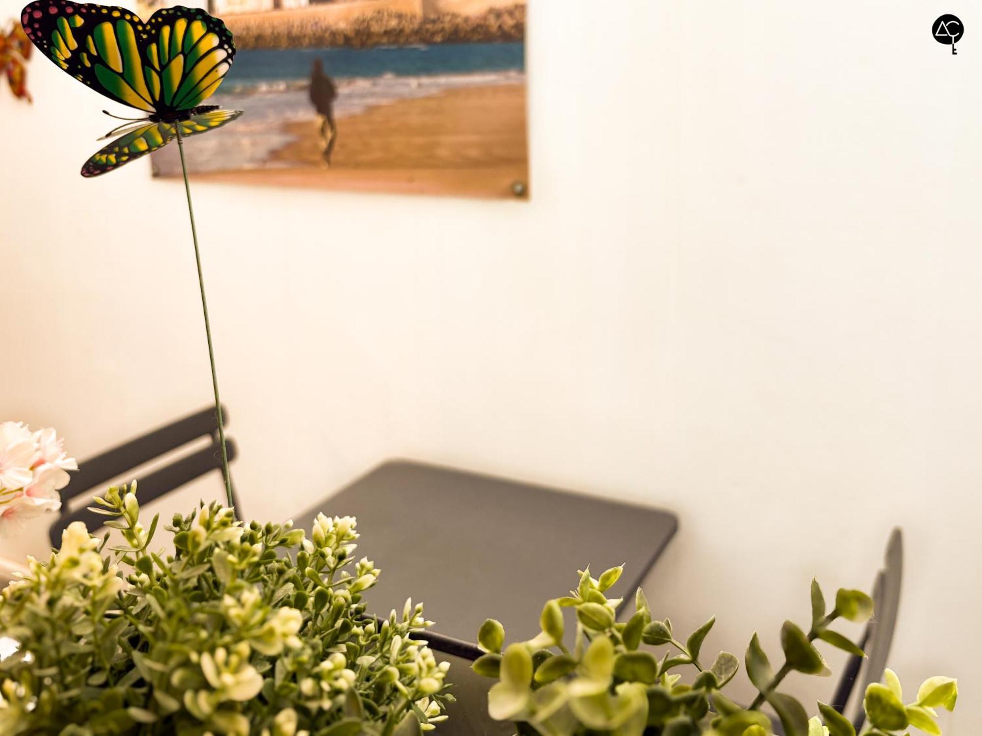Apartamento Casita Del Mentidero Grupo Ac Gestion Cádiz Exterior foto
